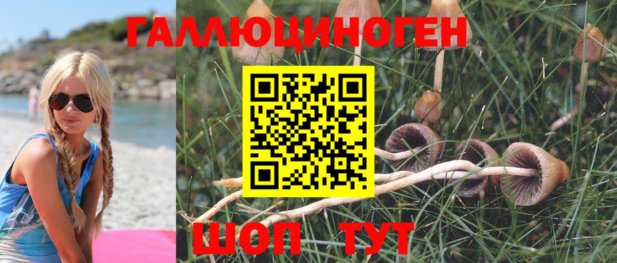 Таганрог  Галлюциногенные грибы прущие грибы  Псилоцибиновые грибы Cubensis  Вход с VPN 